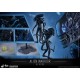 Aliens Movie Masterpiece Action Figure 1/6 Alien Warrior 35 cm